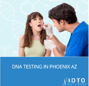 phoeniz paternity testing